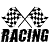Motorsports