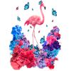 Wolken Flamingo