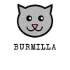 My cat is a Burmilla