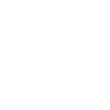 albanisch adler kosovo albania Albanian Eagle