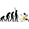 evolution_judo_a_3c