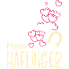 HAFLINGER - mein