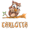 Owl Carlotta