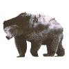 Ours