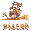 Owl Helena