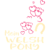 WELSH-PONY -Katze