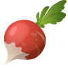 radish. Gift