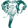 Elephant positive