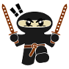 Ninja Knight