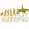 Evolution Dressur Golden Glitter Effekt