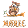 Owl Marie