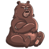 Bear Shirt