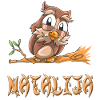 Owl Natalija