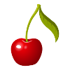 cherry