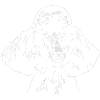 PUDEL POODLE CANICHE Portrait
