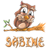 Hibou Sabine