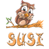 Hibou Susi