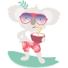 COOL KOALA