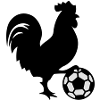 France soccer cock