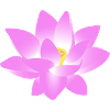 Flower Lotus