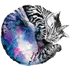 Galaxy einkorn cat small
