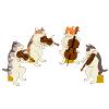 Cat Quartet