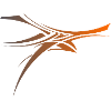 TeeCust n°5 orange