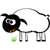 Sweet sheep eats grass. Gift