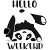 hello weekend, panda, bear