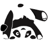 Panda, Bear