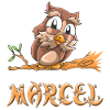 Owl Marcel