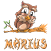Owl Marius