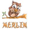 Hibou Merlin