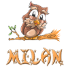 Owl Milan