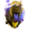 Mandrill