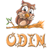 Owl Odin