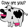 Cow are you?
