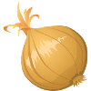 onion