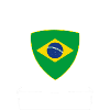 brazil football