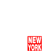 bronx new york