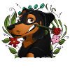 Beauceron happiness