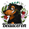 Beauceron happiness