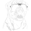 DOGUE DE BORDEAUX cool
