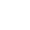 Fl Studio Logo gris