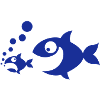Fish feed