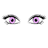 œil