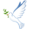 Peace dove peace
