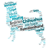 Chihuahua character term Wordcloud