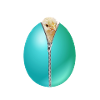 Chick zipper Easter egg gift