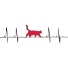 EKG cat